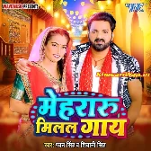 Mehraru Milal Gaay (Pawan Singh)