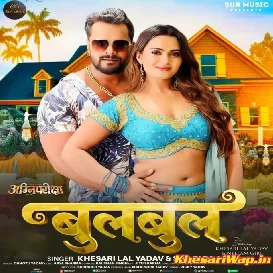 Bagaiche Me Bulbul Bichha Da Odhaniya